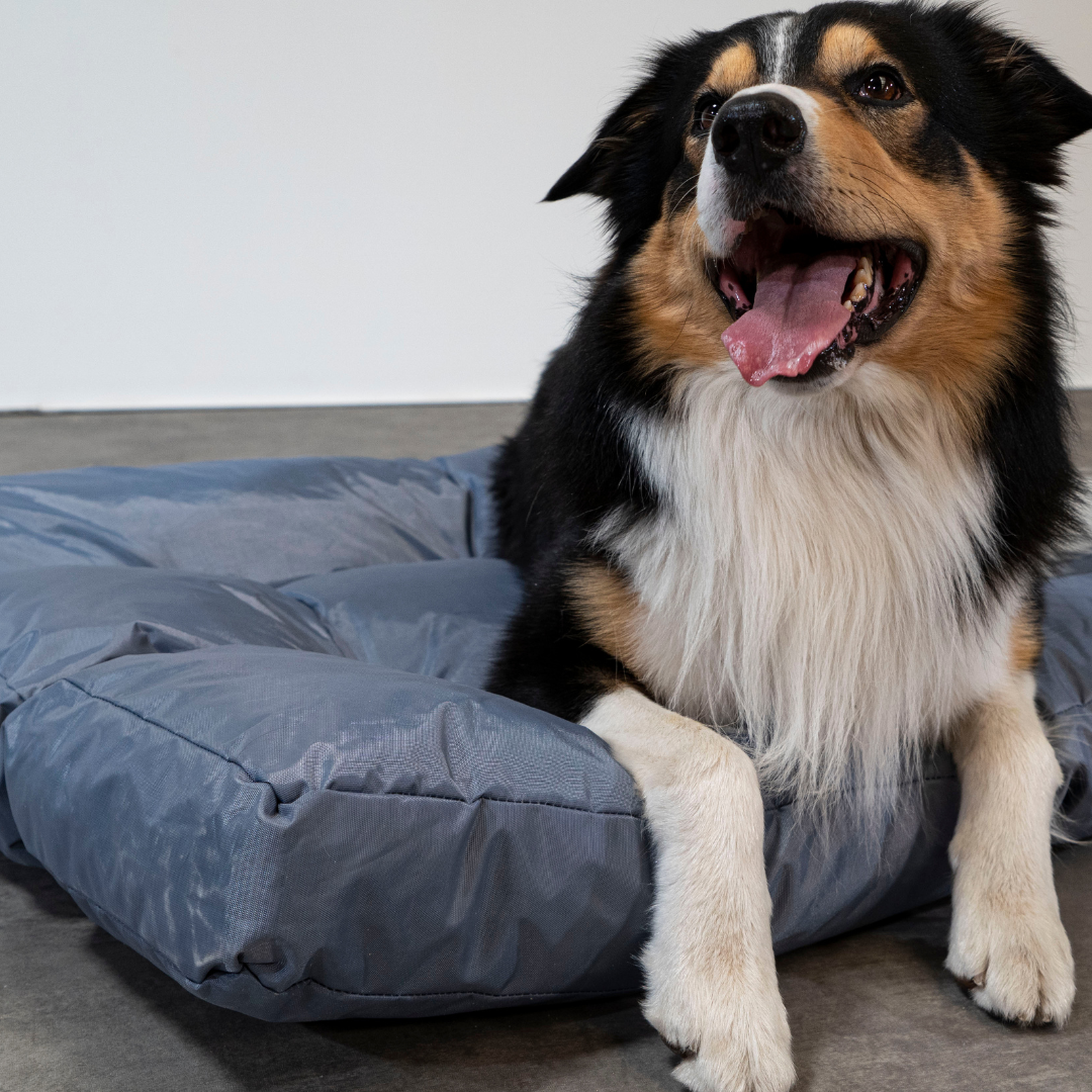 Cama para perro - 110x85x10 cm
