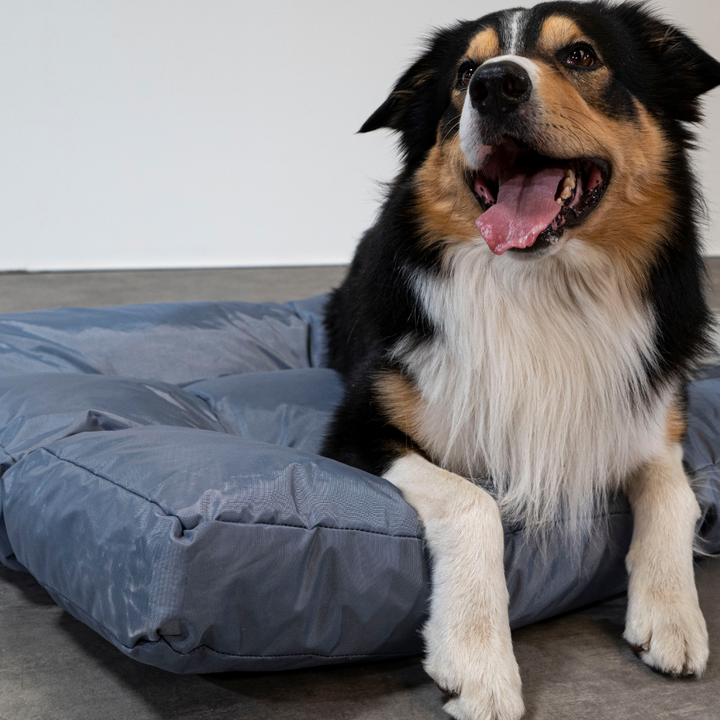 Cama para perro - 110x85x10 cm