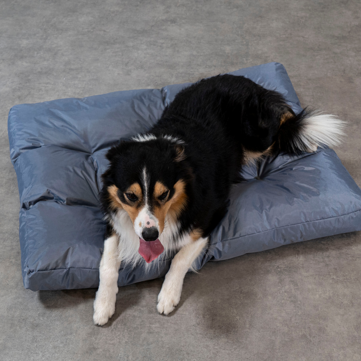 Cama para perro - 110x85x10 cm