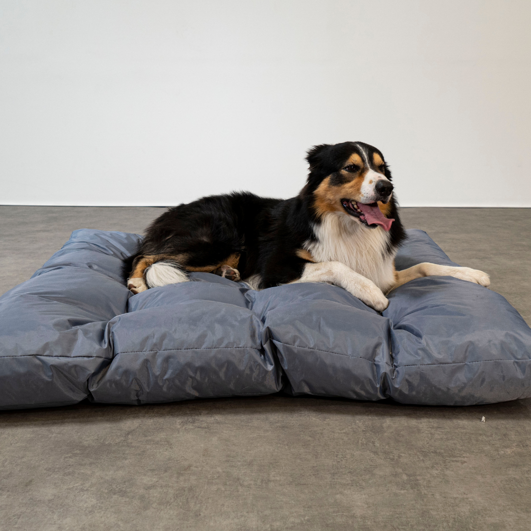 Cama para perro - 125x110x15 cm