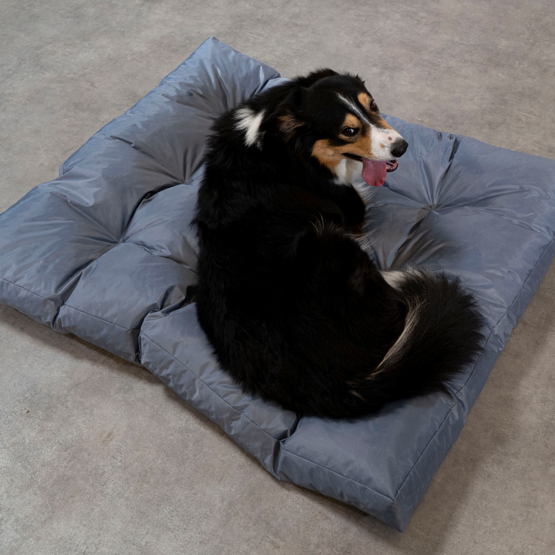Cama para perro - 125x110x15 cm