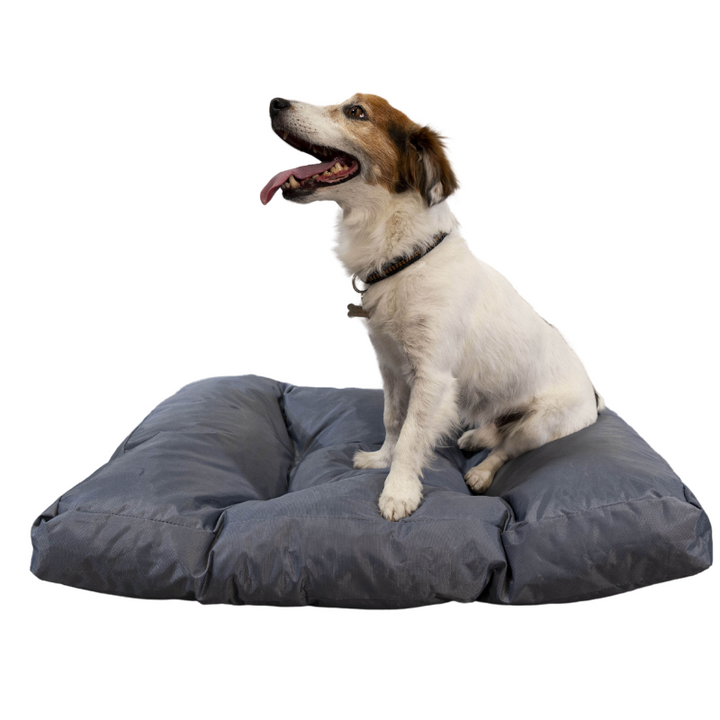 Cama para perro - 75x50x10 cm