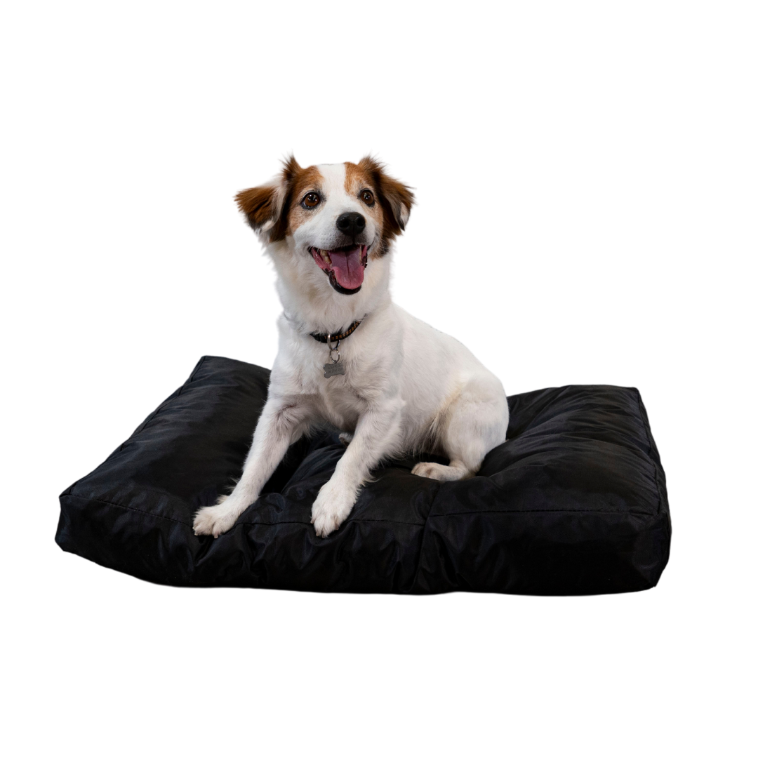 Cama para perro - 75x50x10 cm