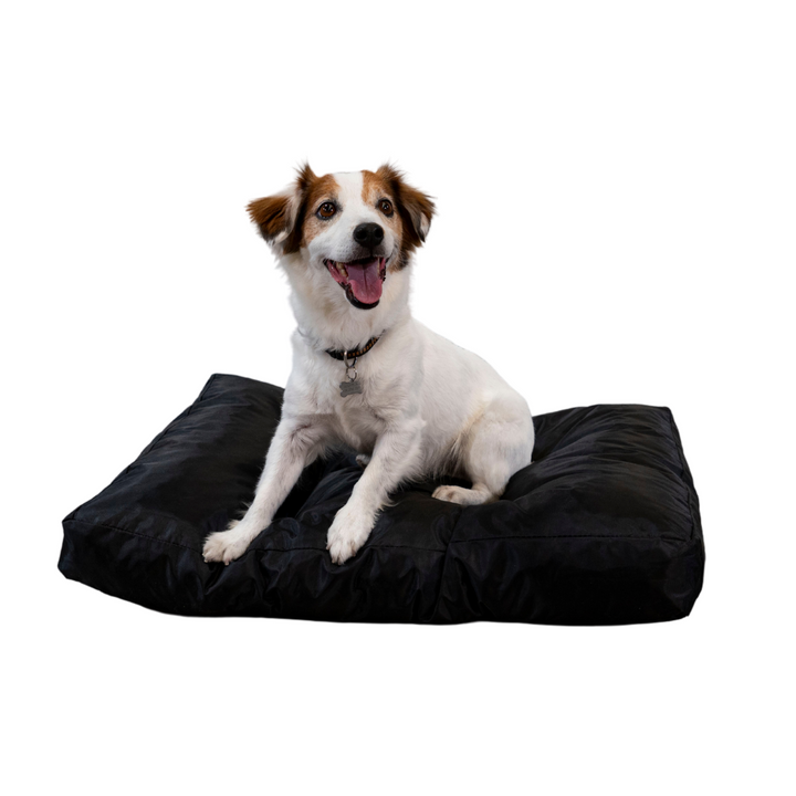 Cama para perro - 75x50x10 cm