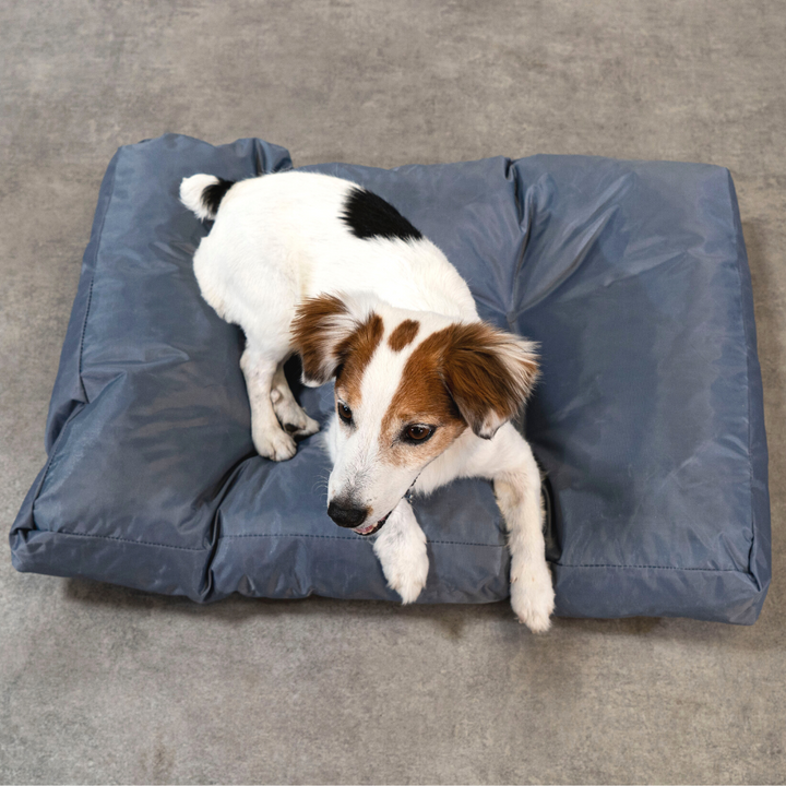 Cama para perro - 75x50x10 cm