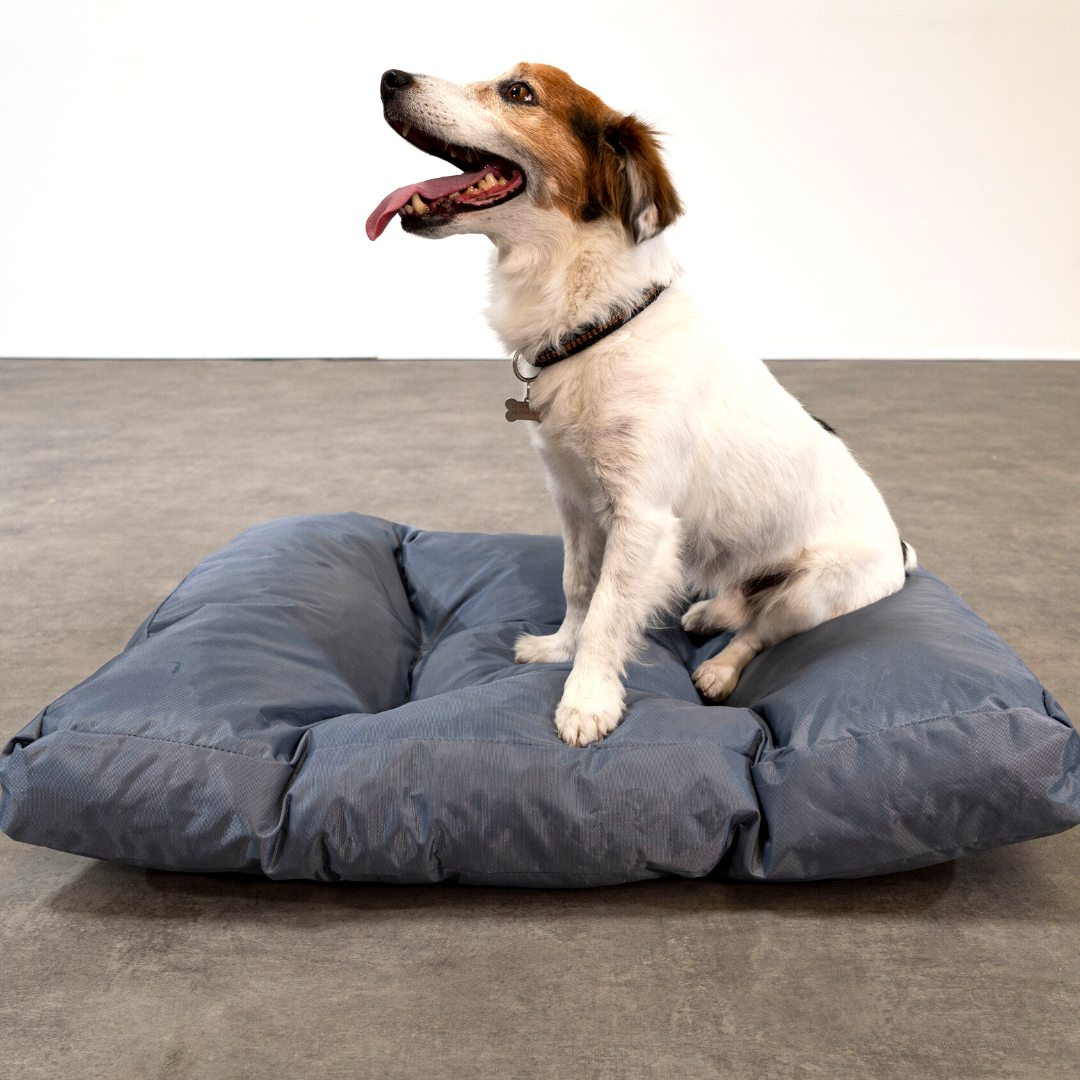 Cama para perro - 75x50x10 cm