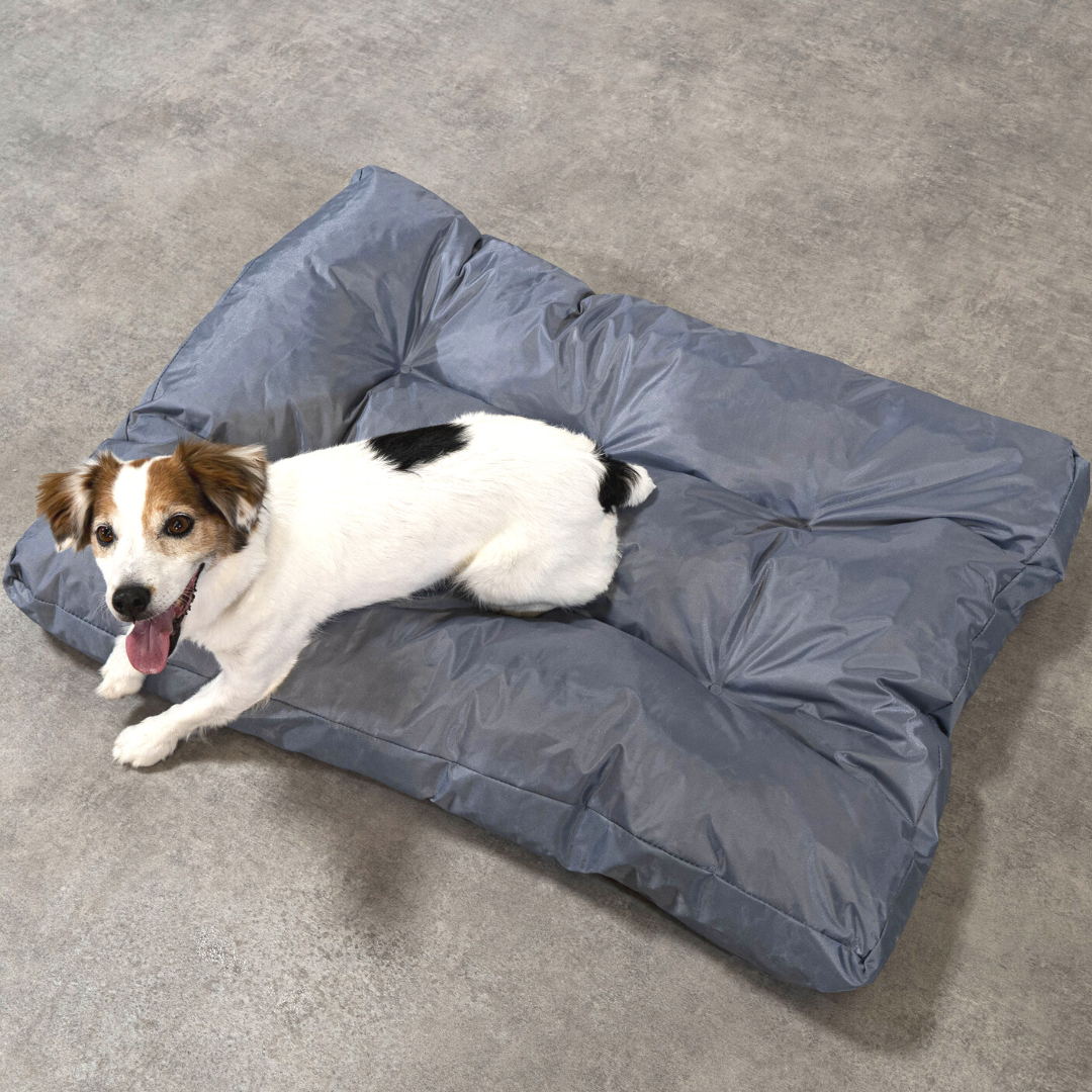 Cama para perro - 90x65x10 cm